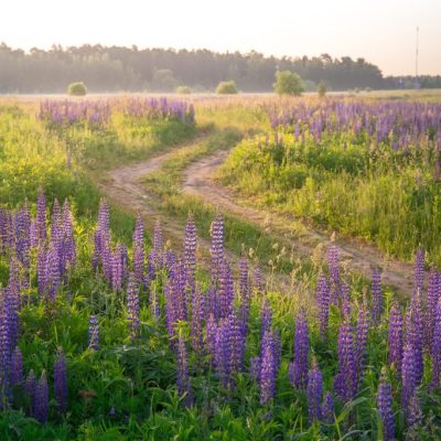 Consejos para el verano